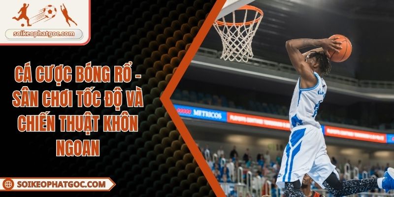 cá cược bóng rổ