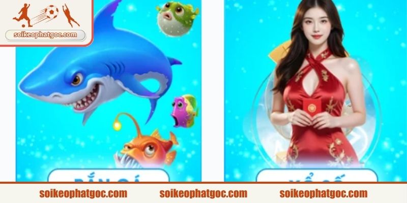Các ưu đãi giá trị thưởng cao không thể bỏ qua tại website