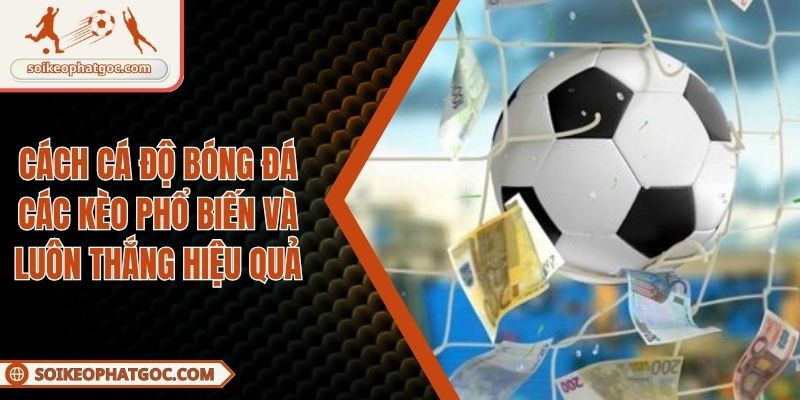 cách cá độ bóng đá