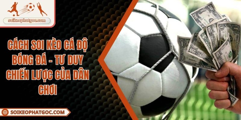 Cách soi kèo cá độ bóng đá