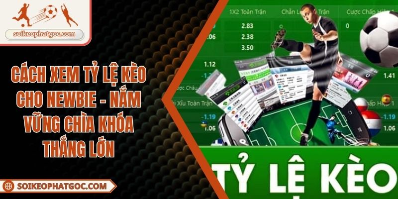 cách xem tỷ lệ kèo