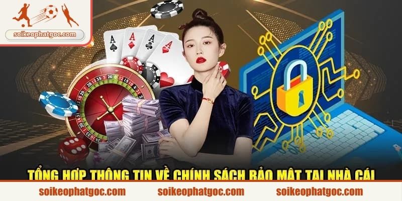 Cơ chế thu thập thông tin tự động theo chính sách