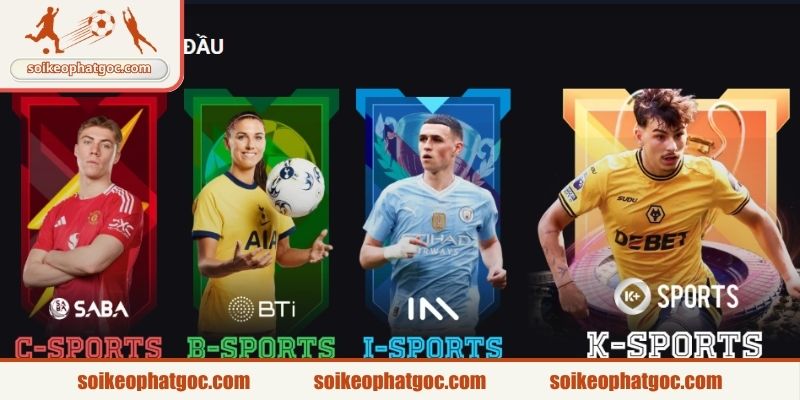 Giới thiệu vài nét về trang soikeophatgoc.com