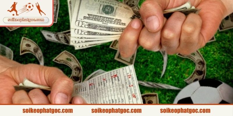 Một số chiến thuật đặt vốn hiệu quả cho newbie