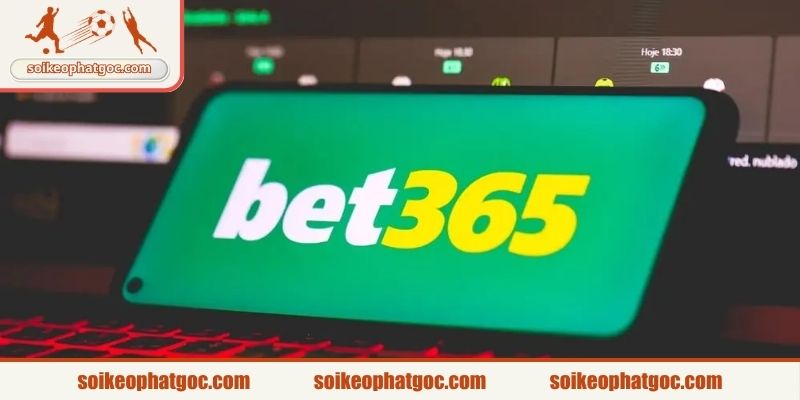 Tìm hiểu vài nét về nền tảng BET365