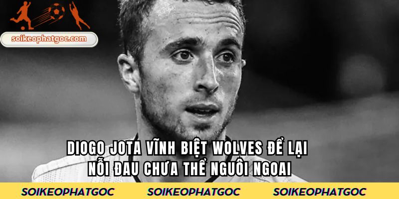 Diogo Jota vĩnh biệt Wolves để lại nỗi đau chưa thể nguôi ngoai