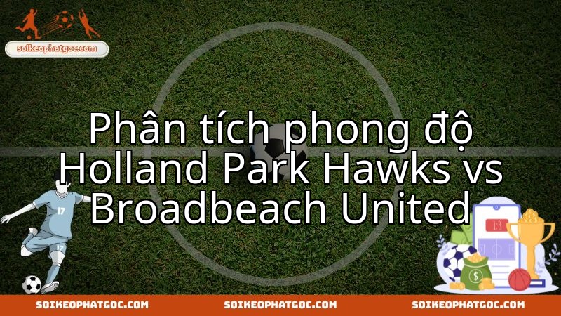Holland Park Hawks chạm trán Broadbeach United: Toàn cảnh phong độ hiện tại của hai đội.