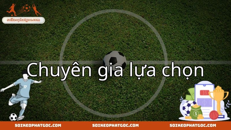 Phân tích chuyên gia cùng dự đoán cho trận chiến Holland Park Hawks và Broadbeach United.