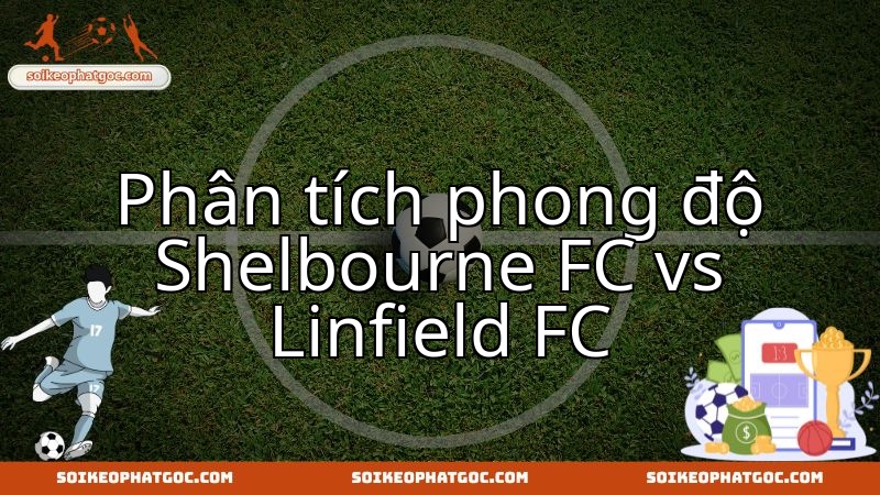 Shelbourne FC và Linfield FC: Nhận định phong độ trước cuộc thư hùng.